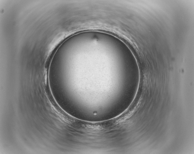 X0000086971509200704231502