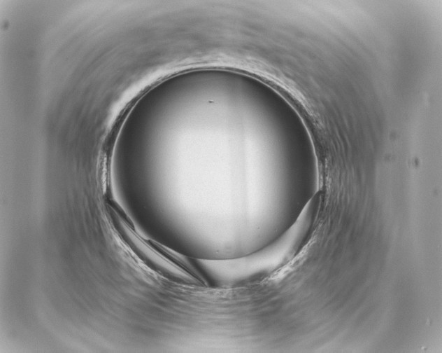 X0000086971510200704231502