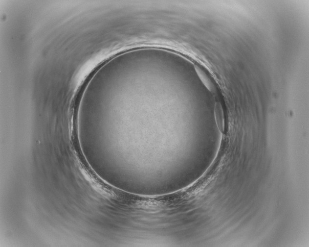 X0000086971511200704231502