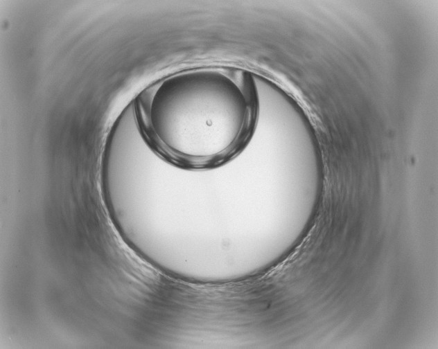 X0000086971512200704231502