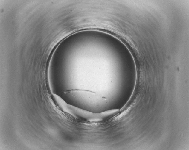 X0000086971513200704231502