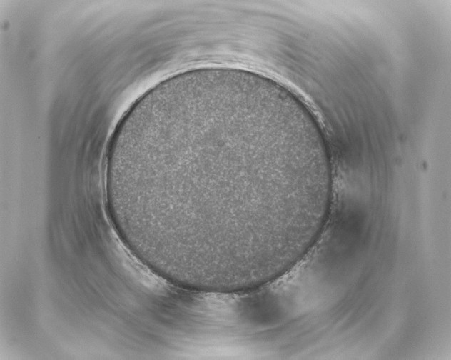 X0000086971514200704231502