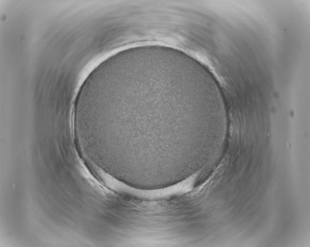 X0000086971516200704231503