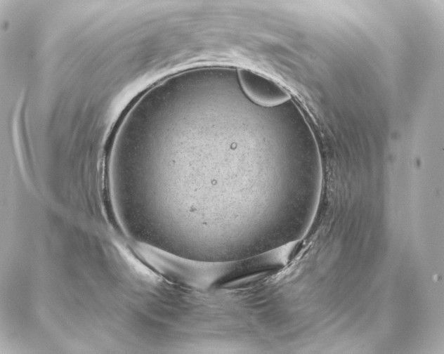 X0000086971519200704231503