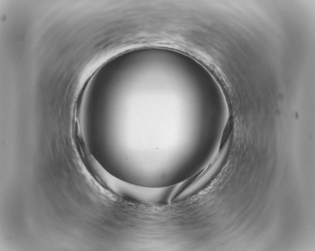 X0000086971520200704231503