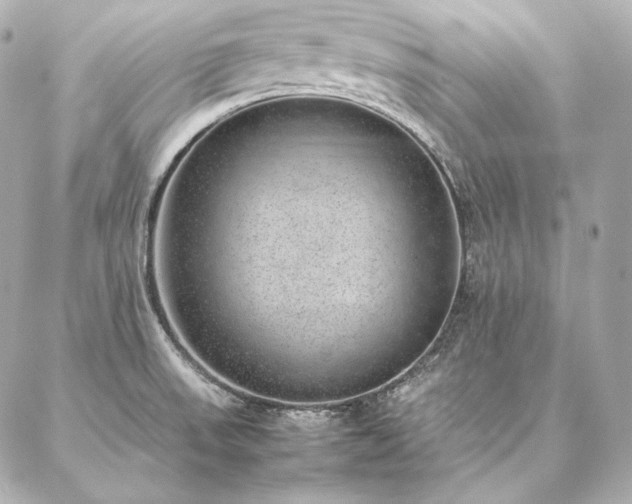 X0000086971523200704231503