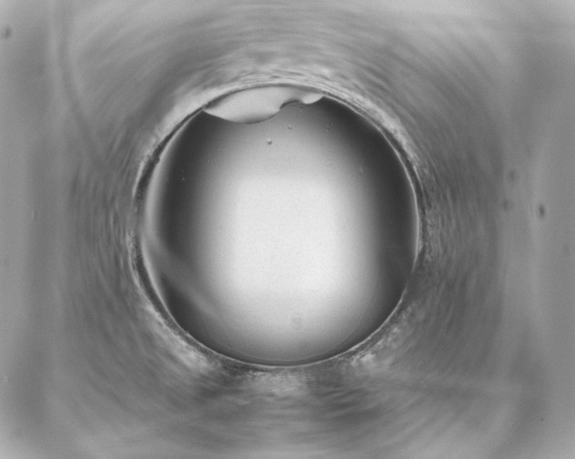 X0000086971525200704231503