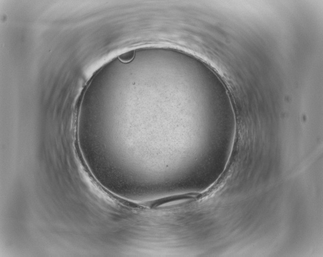 X0000086971526200704231503