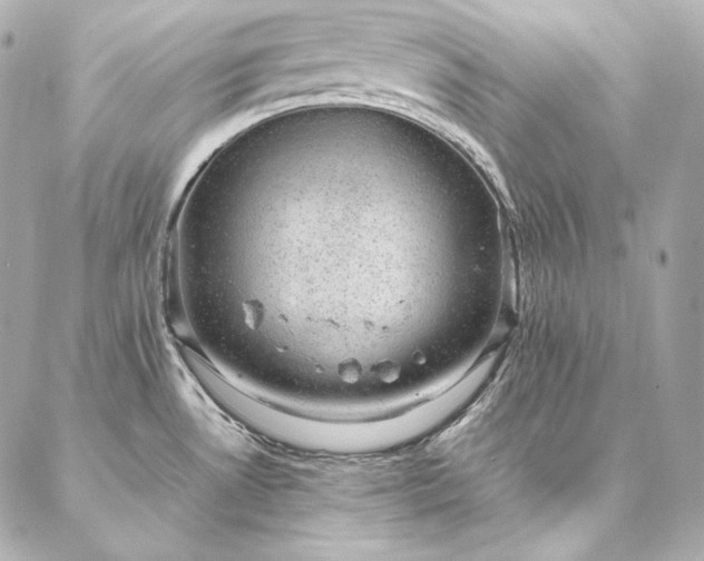 X0000086971530200704231503