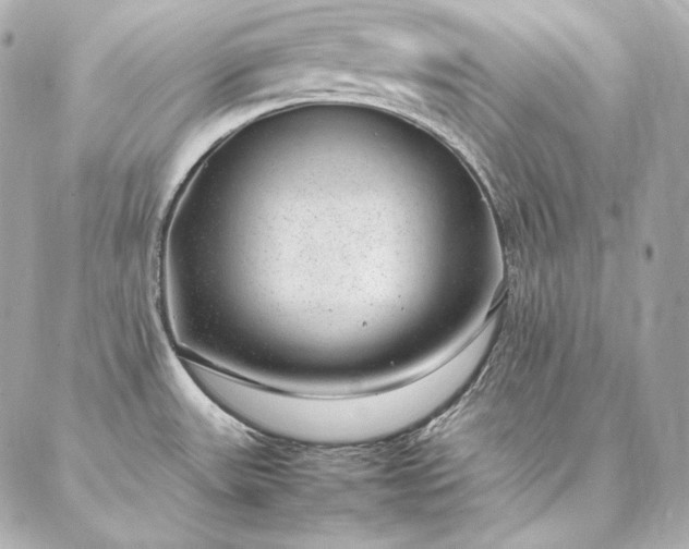 X0000086971531200704231503