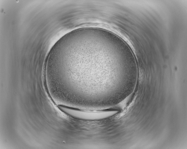 X0000086971533200704231503