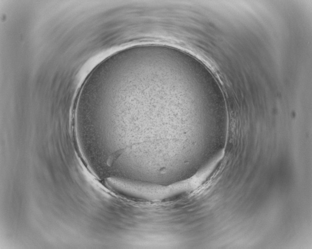 X0000086971535200704231503