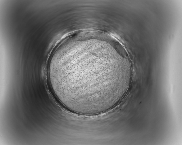 X0000086970002200704301307