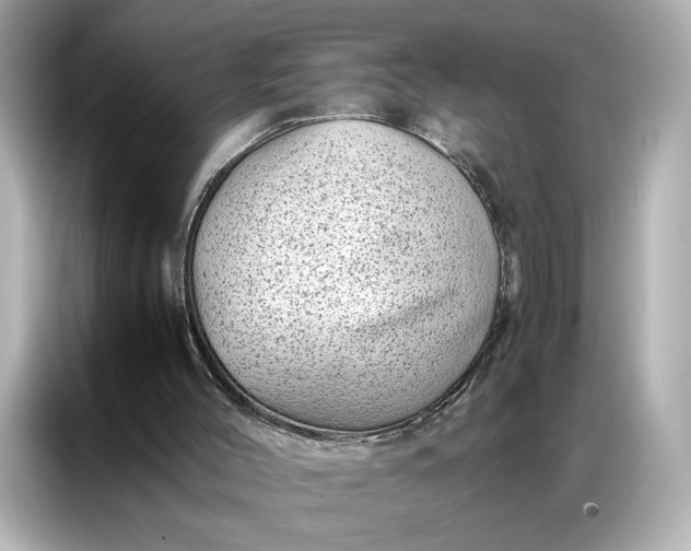 X0000086970004200704301307