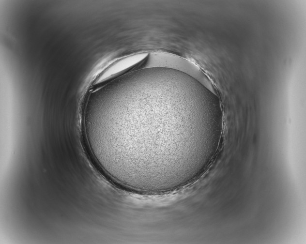 X0000086970005200704301307