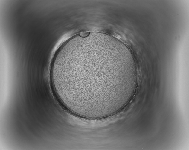 X0000086970006200704301307