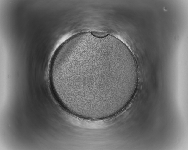 X0000086970008200704301307