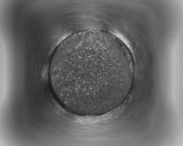 X0000086970009200704301307