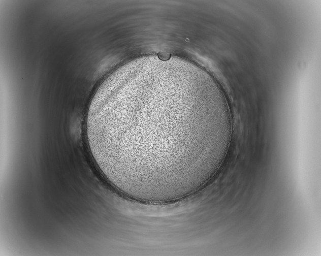 X0000086970010200704301307