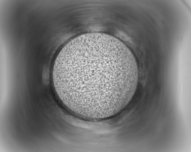 X0000086970012200704301307