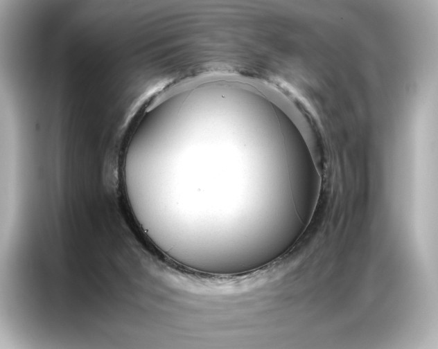 X0000086970015200704301307