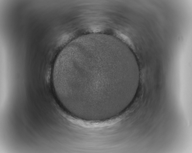 X0000086970018200704301306