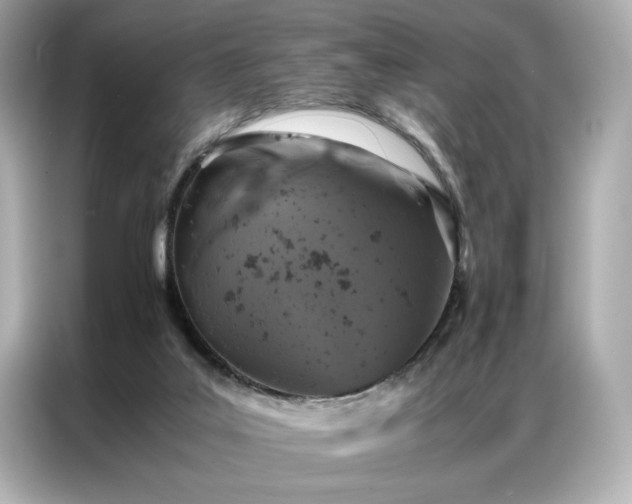 X0000086970019200704301306