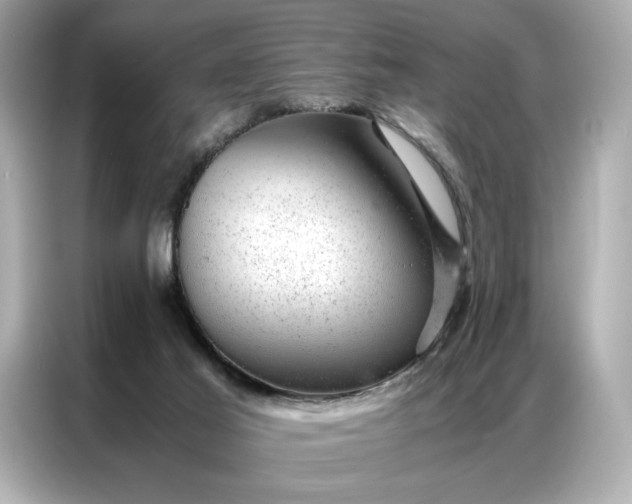 X0000086970021200704301306