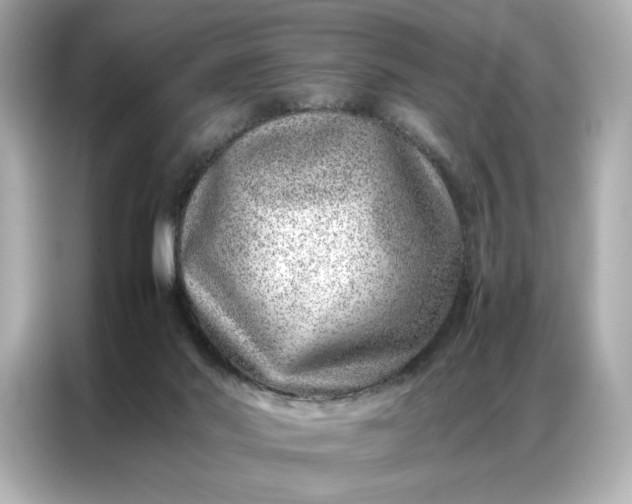 X0000086970022200704301306