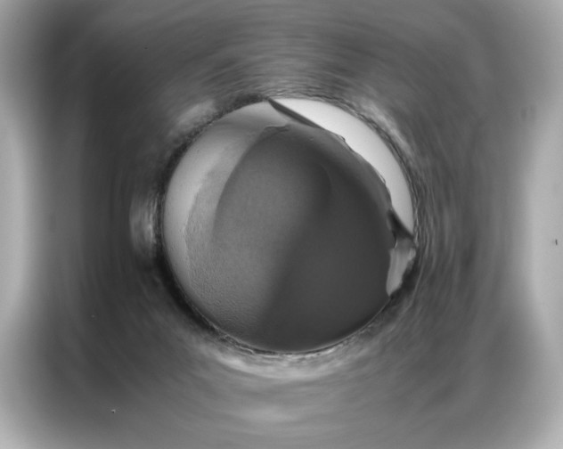 X0000086970023200704301306