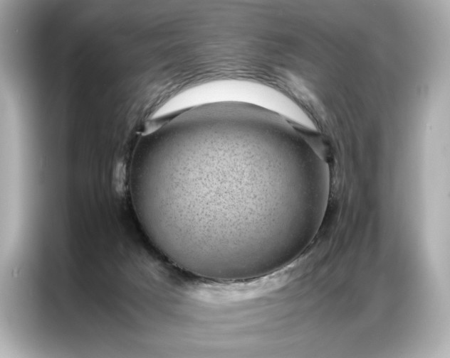 X0000086970025200704301306