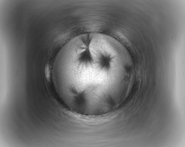 X0000086970026200704301306