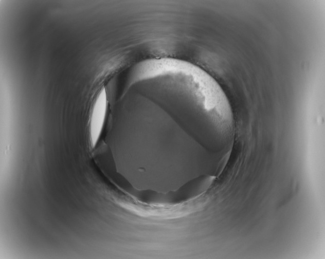 X0000086970027200704301306