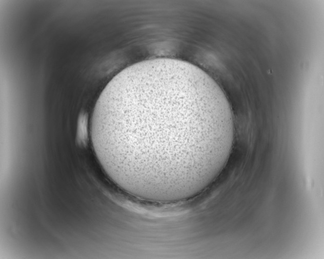 X0000086970028200704301306