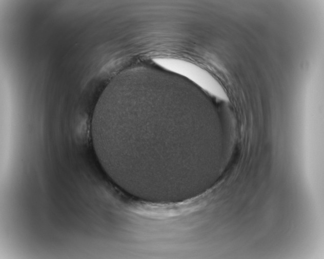 X0000086970029200704301306