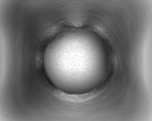 X0000086970030200704301306