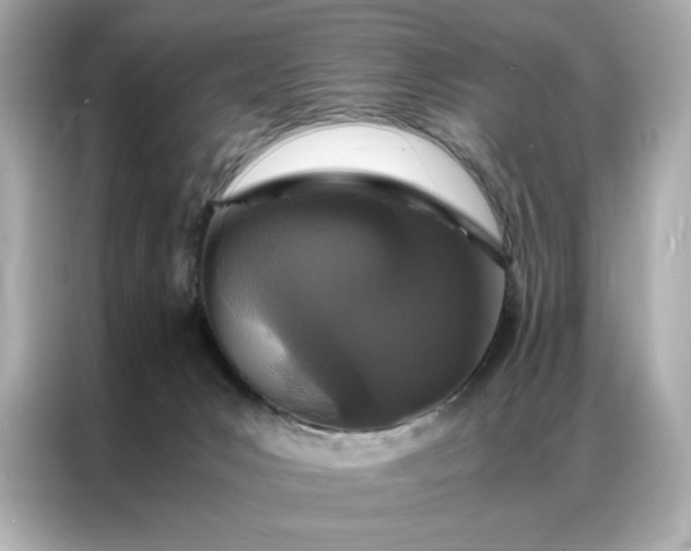 X0000086970031200704301306