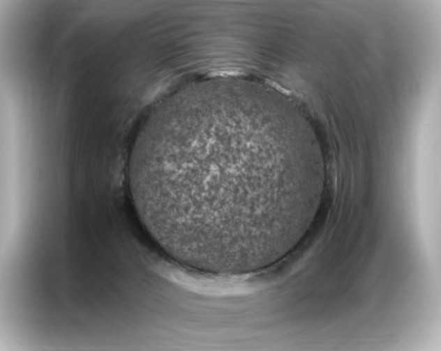 X0000086970032200704301306