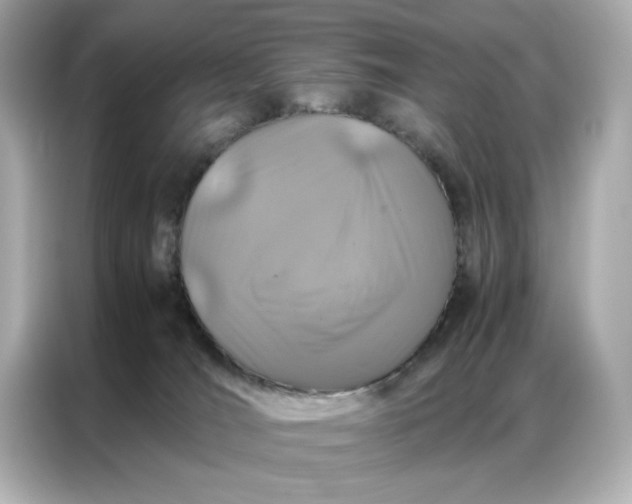 X0000086970036200704301306