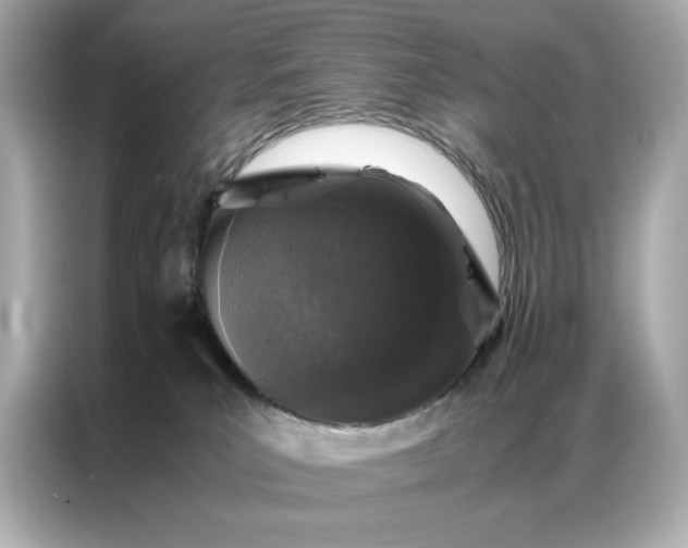 X0000086970039200704301306