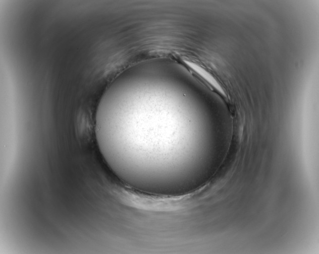 X0000086970040200704301306