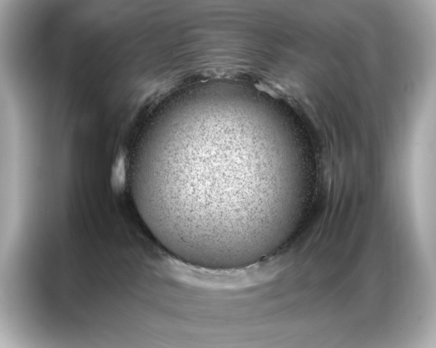 X0000086970042200704301306