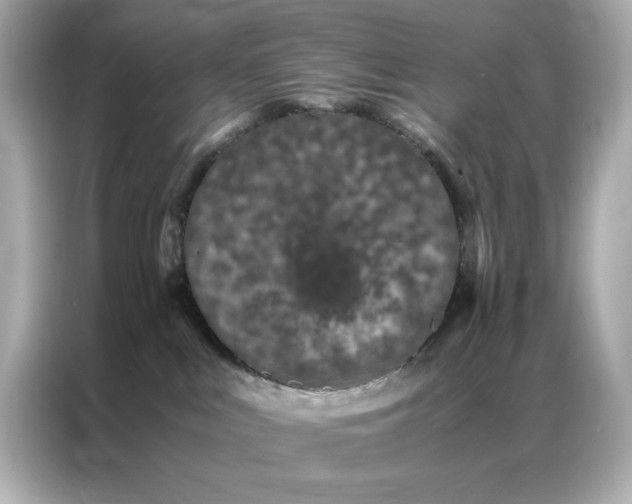 X0000086970043200704301306