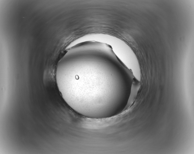 X0000086970045200704301306