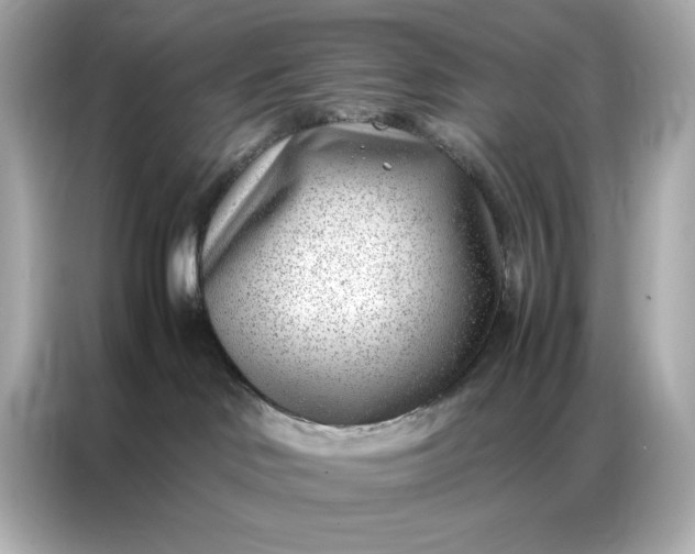 X0000086970046200704301306