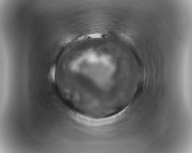 X0000086970047200704301306