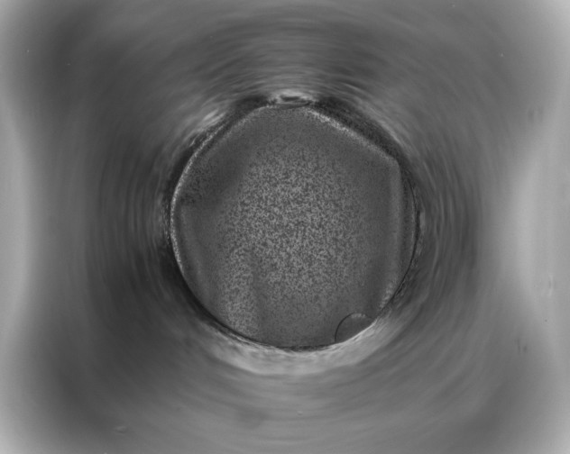 X0000086970048200704301306