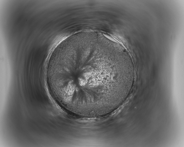 X0000086970049200704301305