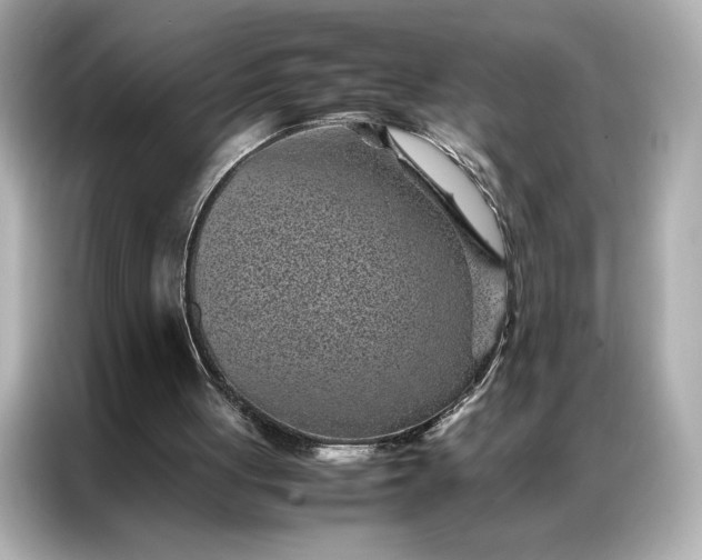 X0000086970051200704301306