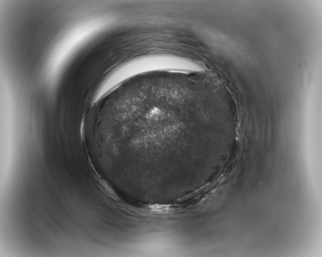 X0000086970052200704301306